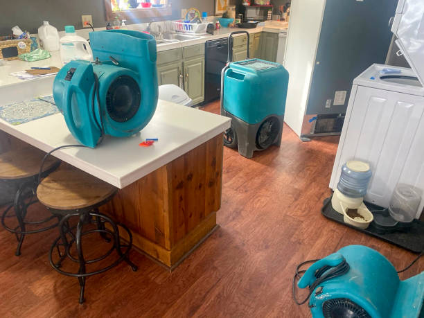 Best Water damage restoration near me  in Bayou La Batre, AL