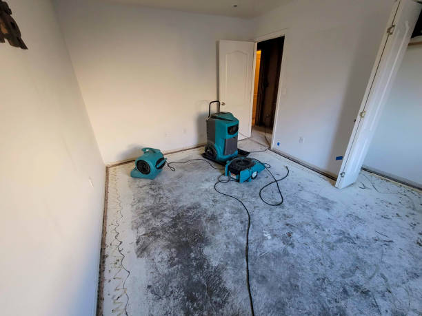 Best Ceiling water damage repair  in Bayou La Batre, AL