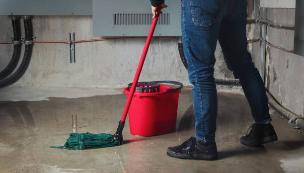Best Water damage contractors near me  in Bayou La Batre, AL
