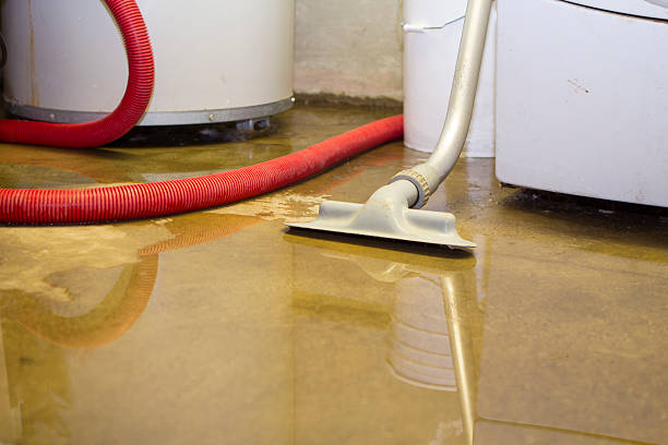 Best Emergency water extraction  in Bayou La Batre, AL