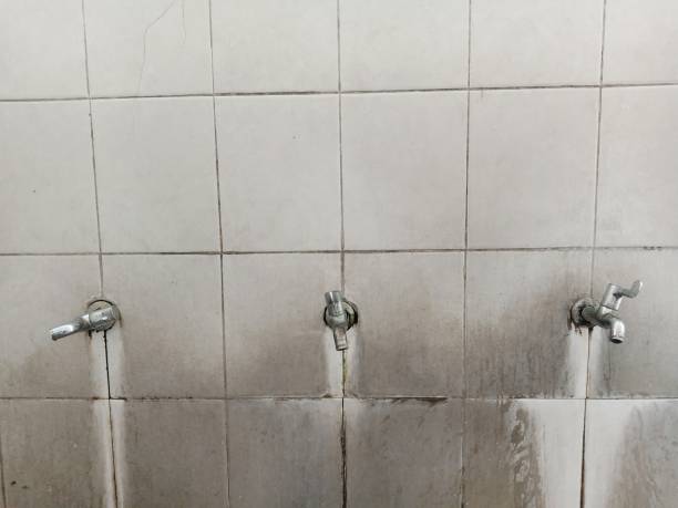 Best Sewage cleanup and water damage restoration  in Bayou La Batre, AL
