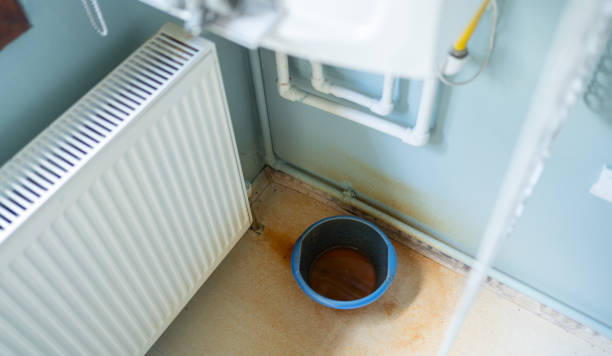 Best Professional water damage repair  in Bayou La Batre, AL