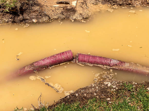 Best Basement water damage restoration  in Bayou La Batre, AL