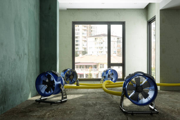 Best Water damage restoration mold remediation  in Bayou La Batre, AL